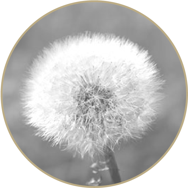 Allergietestung und Behandlung