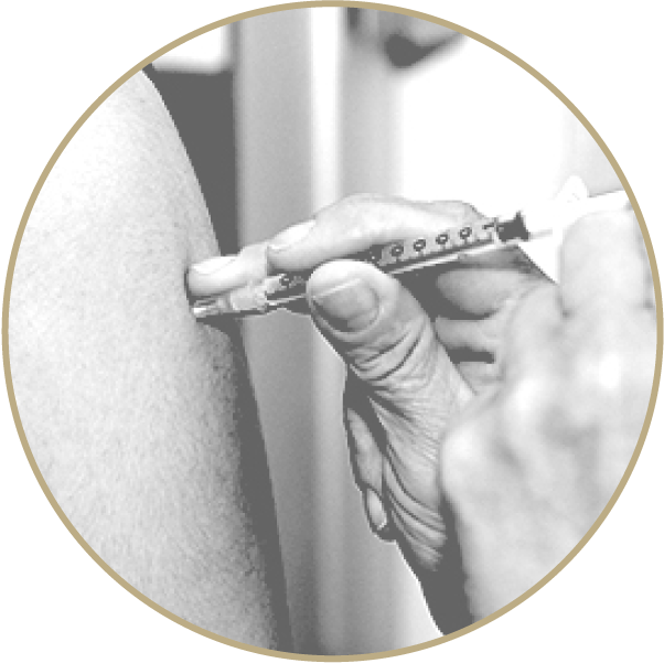 DMP, ASTHMA UND COPD