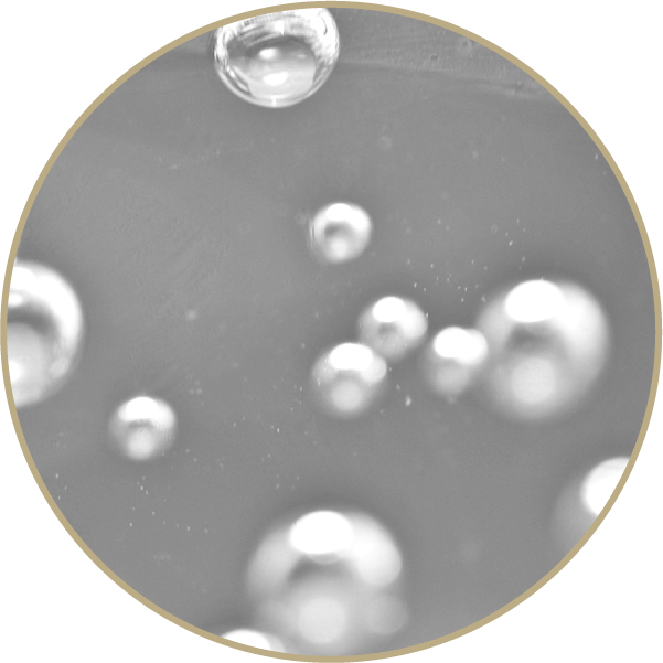 SAUERSTOFF & BLUTGAS